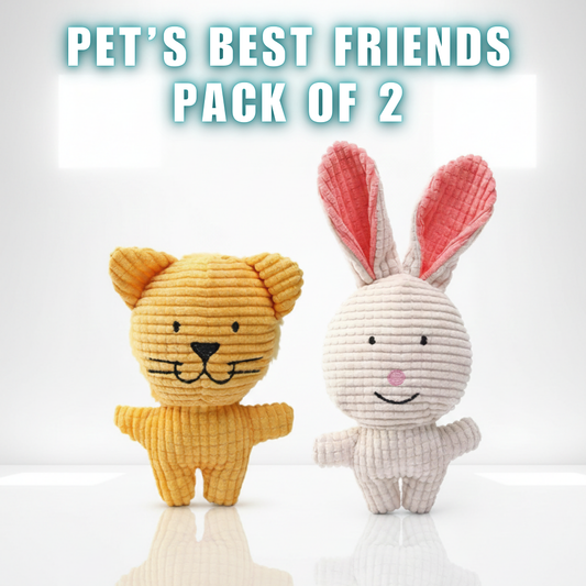 PET PLUSH TOYS ( PACK OF 2 )
